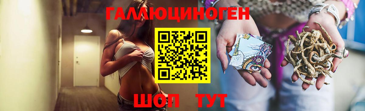 Псилоцибиновые грибы мухоморы Россия